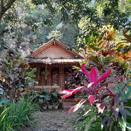 Anik Homestay & Dormy Batukaras 外观 照片
